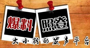 市民大爆料新闻,揭露城市生活背后的惊人真相